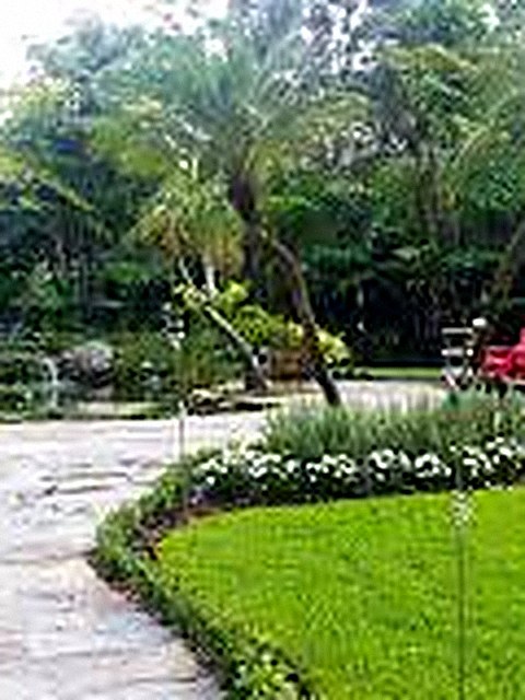 Garden proof photo on the crew phone