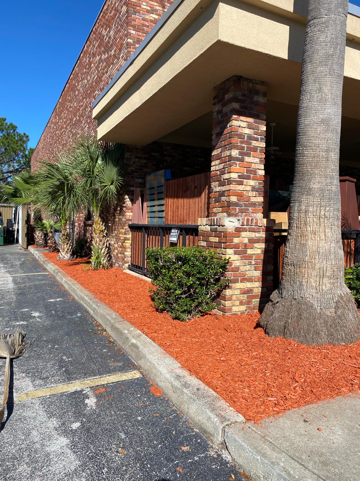Fresh red mulch bed installed along the Bravo Supermarket storefront in Brandon