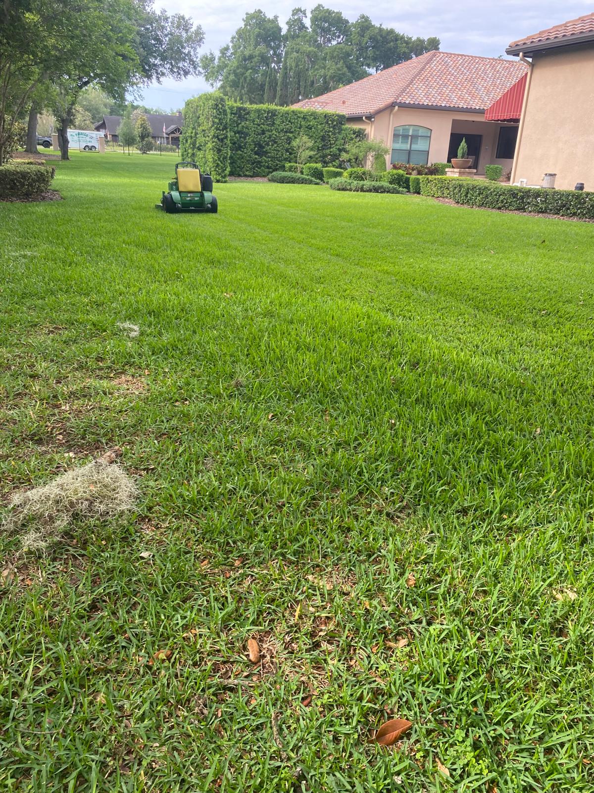 Freshly mowed residential lawn with clean mower stripes in Brandon