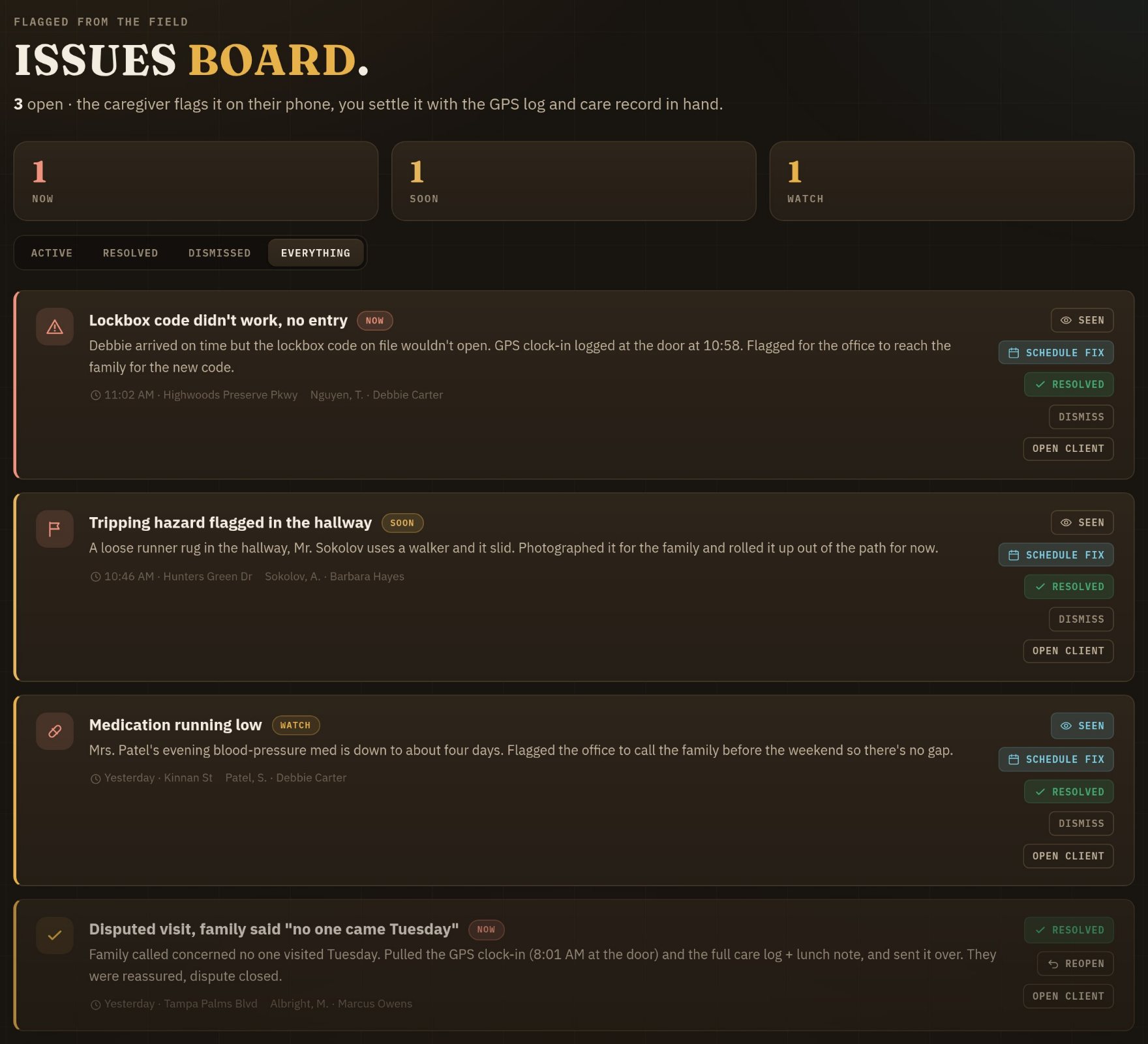 The issues board with every filter showing: three open flags from the field with their severity, the time and the address, and at the foot a disputed visit marked resolved.