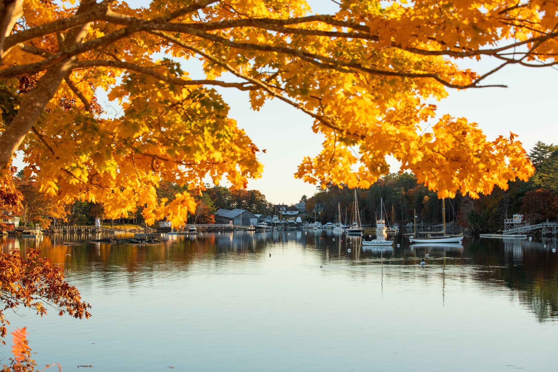 Boothbay Harbor, a classic Maine working harbor with lobster boats and a spruce-lined shore