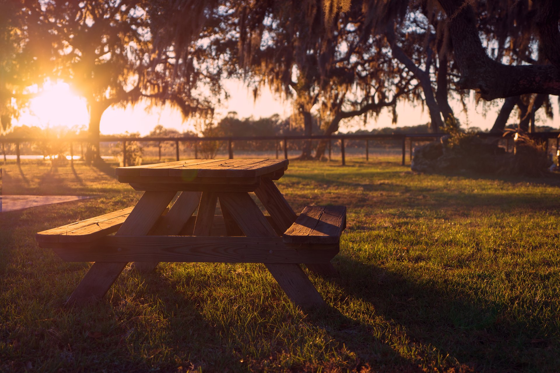 A picnic table with a fire ring and grill at a campsite in golden light
