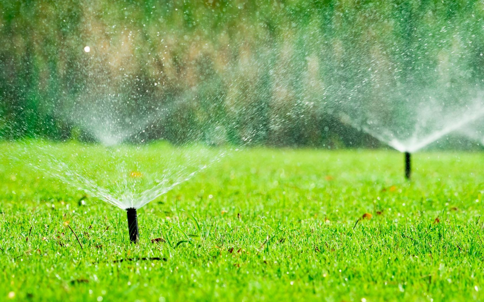 Sprinkler misting a healthy lawn in the morning light